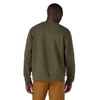 Felpe - Basin green - Uomo - Daily Crewneck Sweatshirt  Patagonia