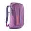 Brisk Purple/Viola